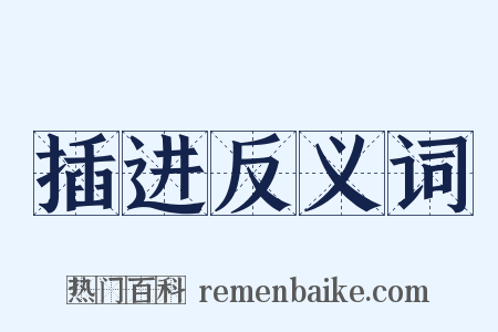 插进反义词是什么意思的图片